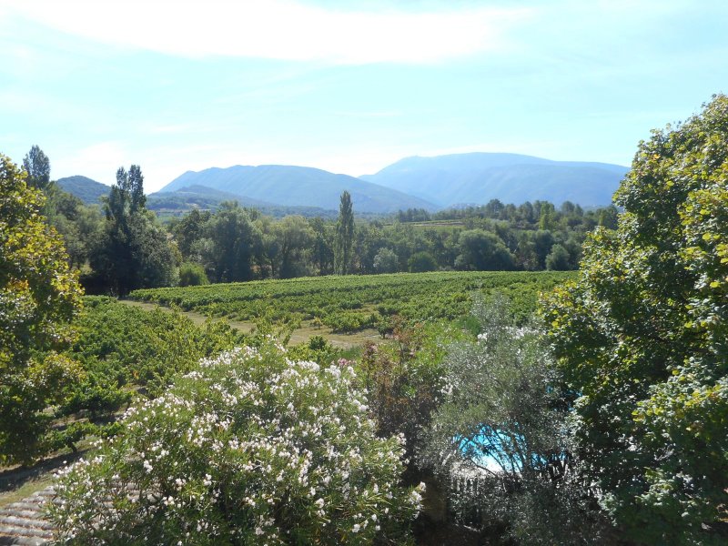 Le Grand Jardin