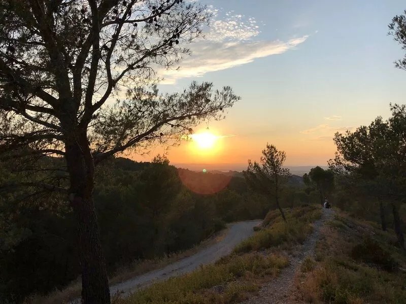 A haven of peace in St Remy de Provence