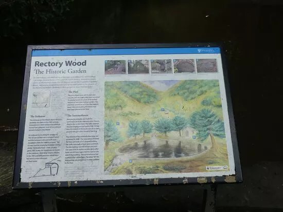 Rectory Wood & Field