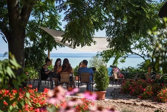 Folly Arboretum and Winery