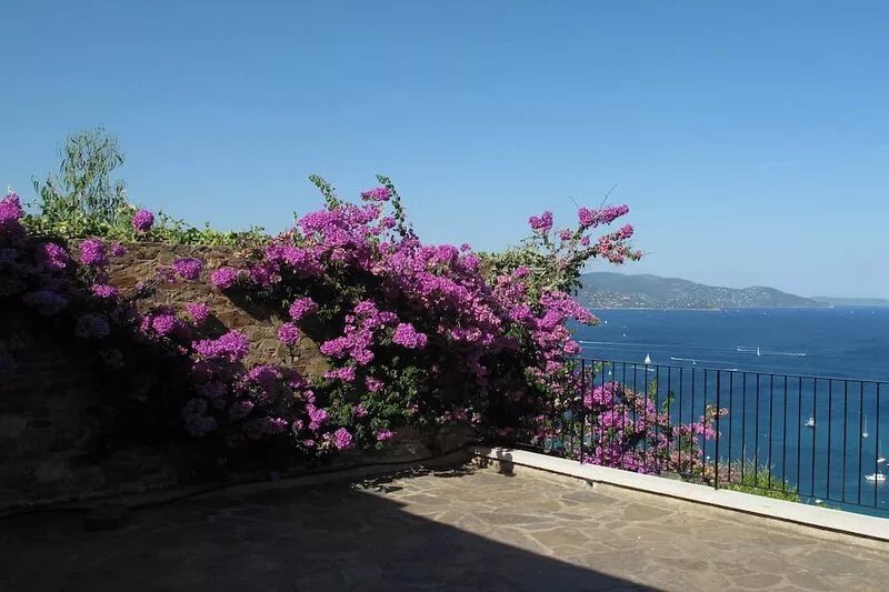 Villa for 6 people in a private estate in Gaou Bénat. Exceptional sea view
