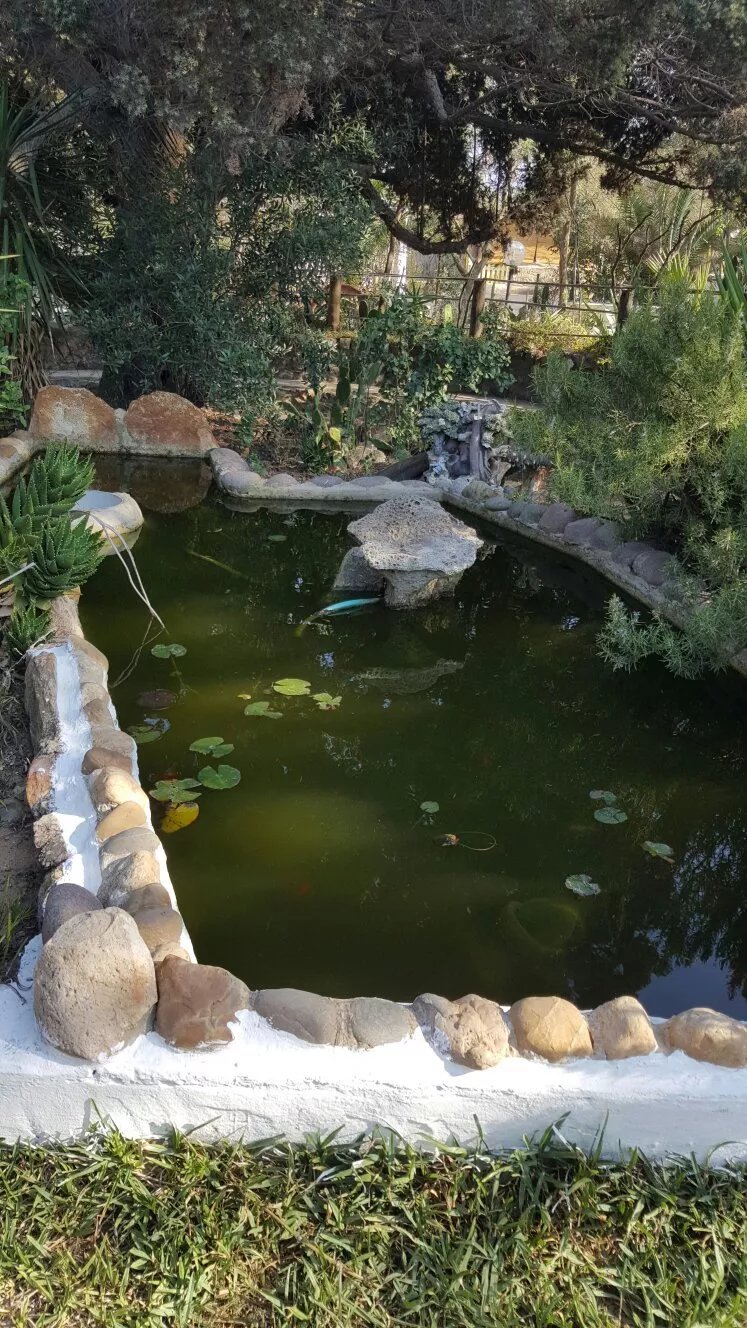 B&B Il Giardino Dacri
