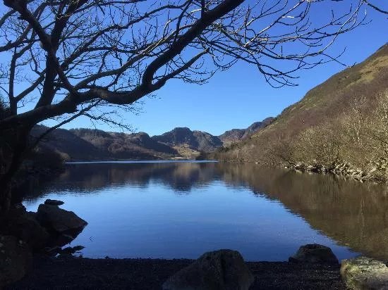 Gwydir Forest