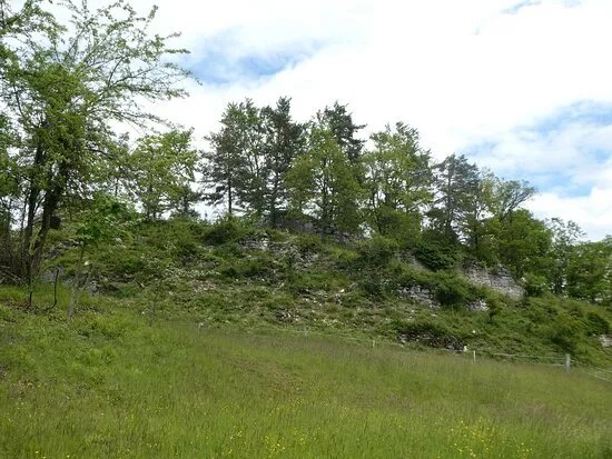 Ruine Frohberg
