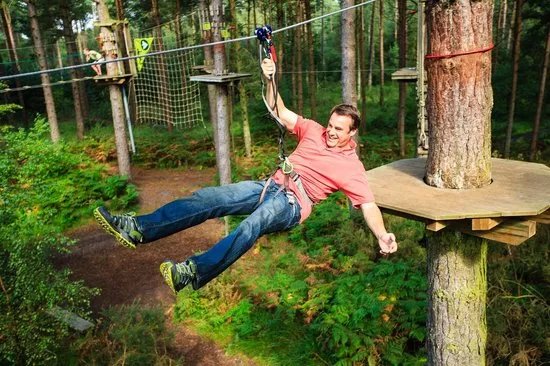 Go Ape Grizedale