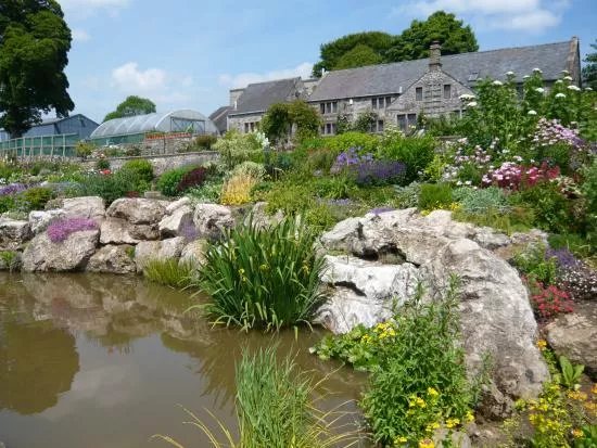 Hollies Farm Plant Centre