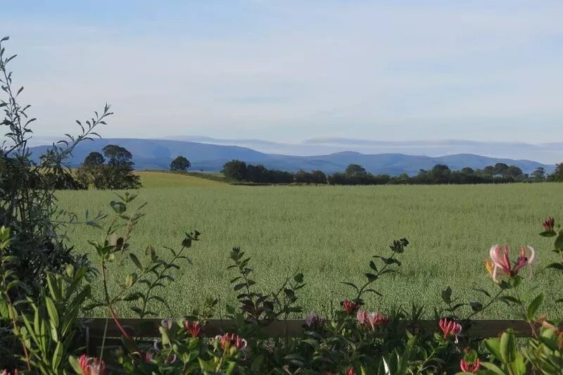 HERITAGE COTTAGE set in peaceful rural surroundings, Scottish Borders