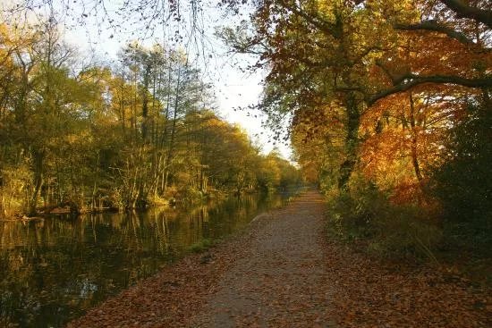 Frimley Lodge Park
