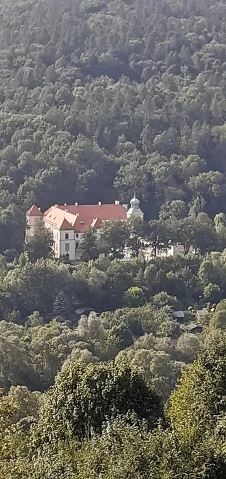Miejski OSrodek Kultury - Zamek
