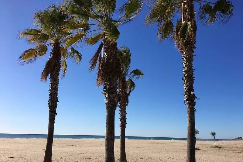 Spacious fully renovated apartment in luxury residence facing the beach
