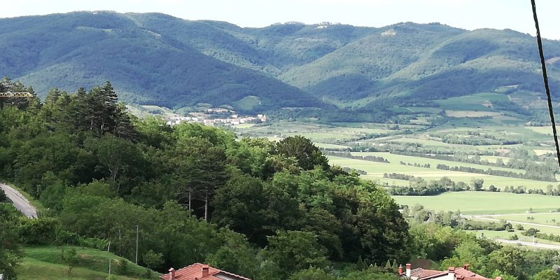 Farm Stay Ferjancic