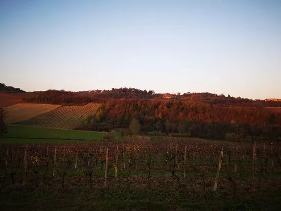 Azienda Vitivinicola Botto Marco