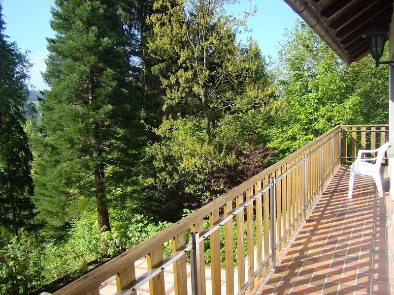 Cozy chalet on a hill in the forest near Willingen