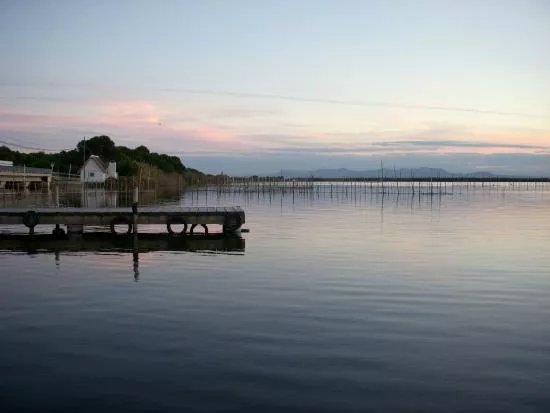 Visit Albufera