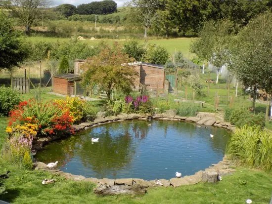 Beeches Cottage Nursery