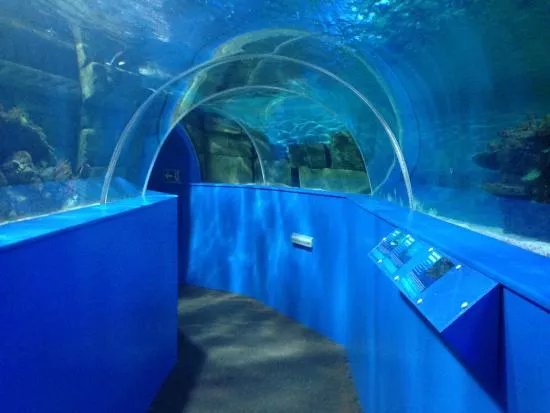 Hastings Aquarium
