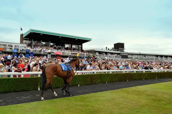 Market Rasen Racecourse