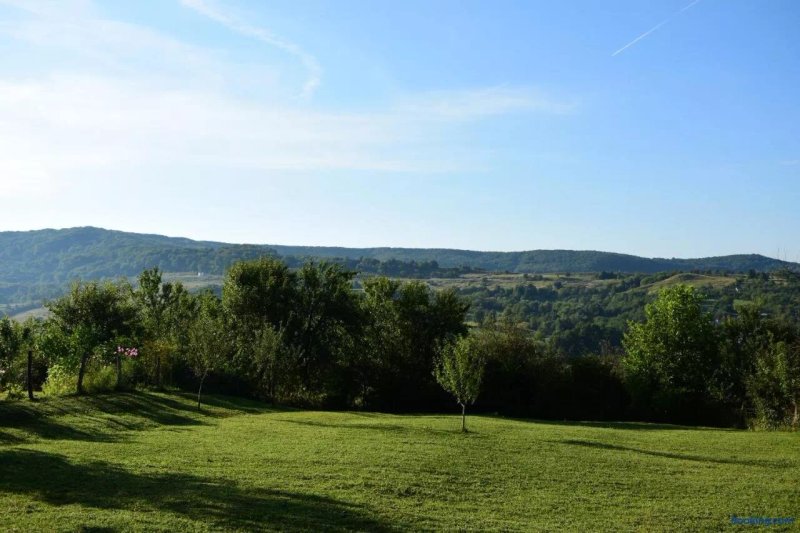 Livada de Zmeura