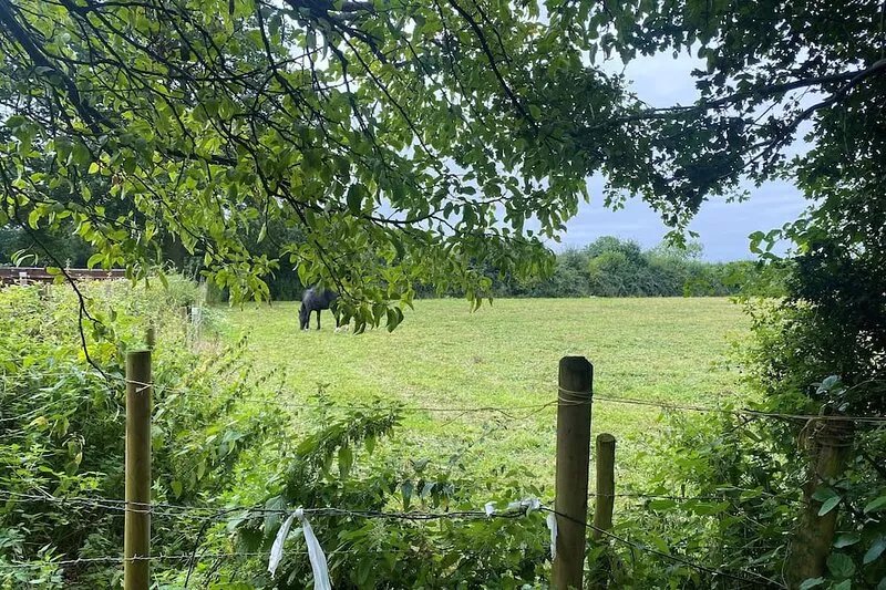 Bumblebee Cottage - a 19th Century Cottage in Area of Outstanding Natural Beauty