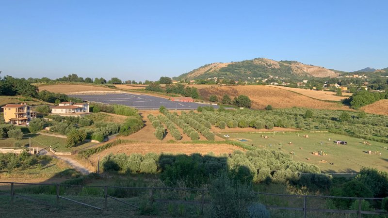 Il Faggio 17 B&B Artena