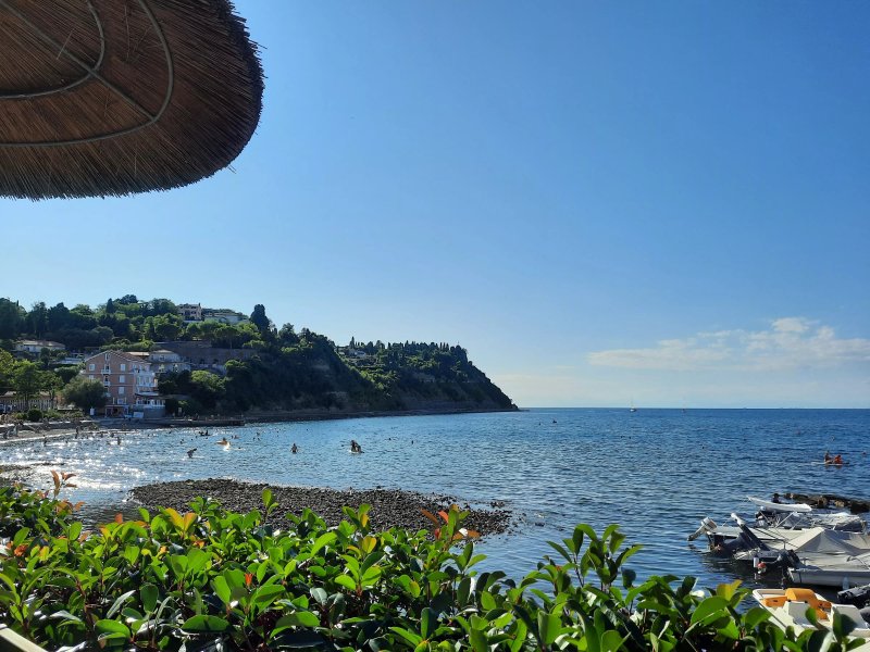 Barbara Beach Bar