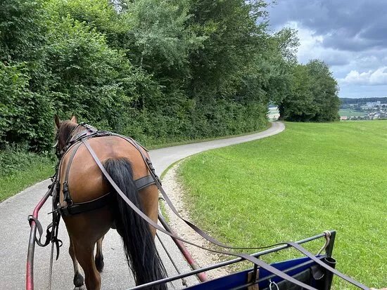 Equestrian Tourism Courtedoux
