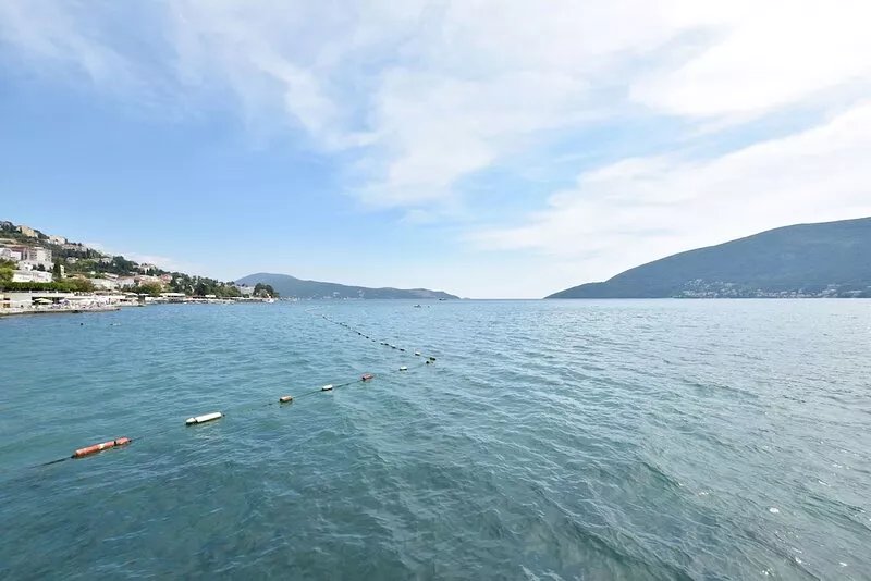 Apartments Kujacic (56991-A2) - Igalo