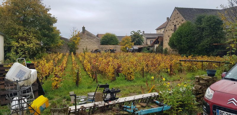Domaine Dominique Lahaye