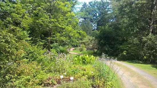 Forstbotanischer Garten