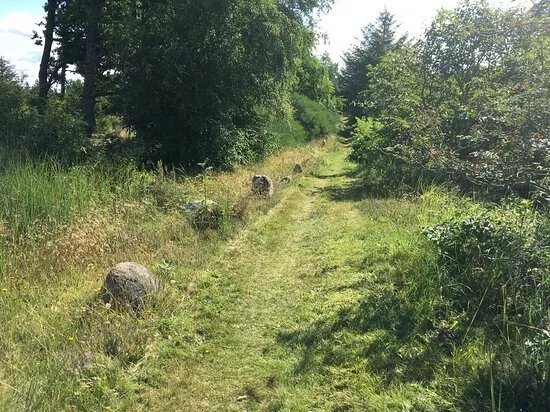 Stenanlaegget I Myrhoj