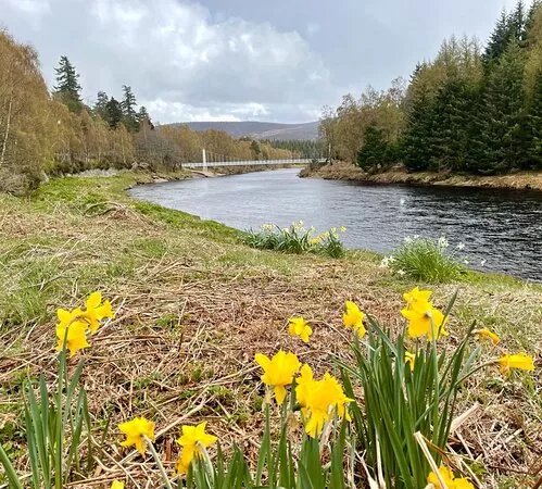 Cambus O' May Suspension Bridge