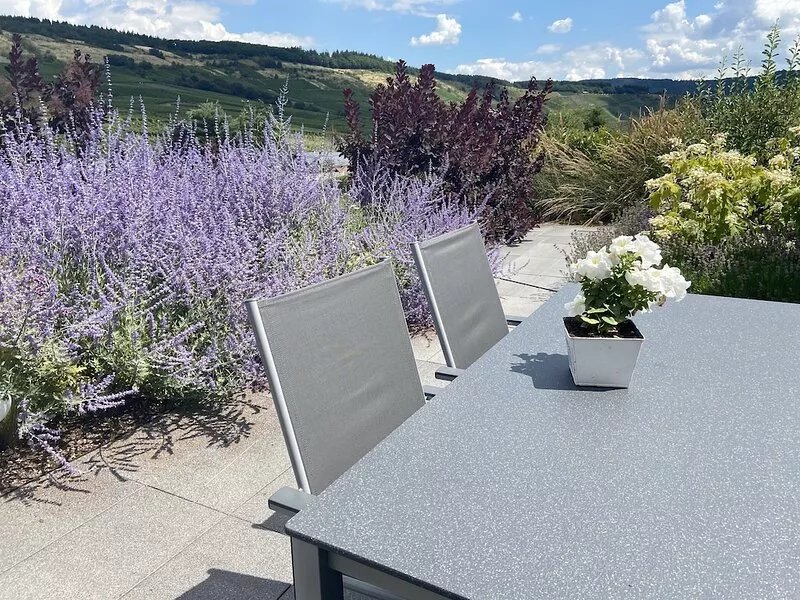 Spacious vacation apartment with a view of the vineyards in Mehring