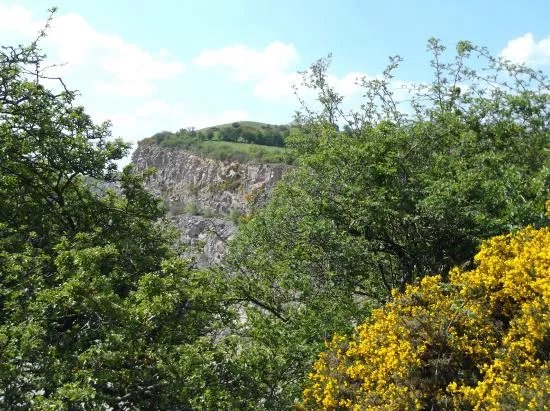 Croft Hill
