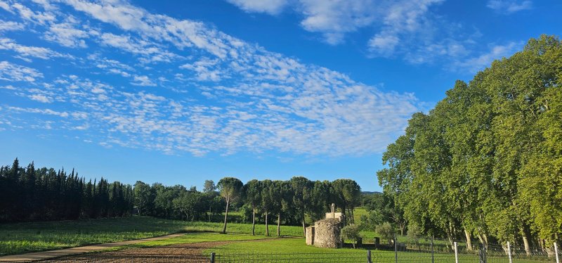 Chateau de Taulignan