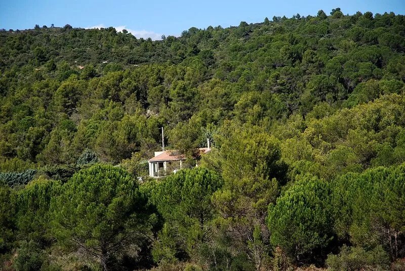 La Petite Cigale at the edge of Cesseras in a natural setting of rosemary