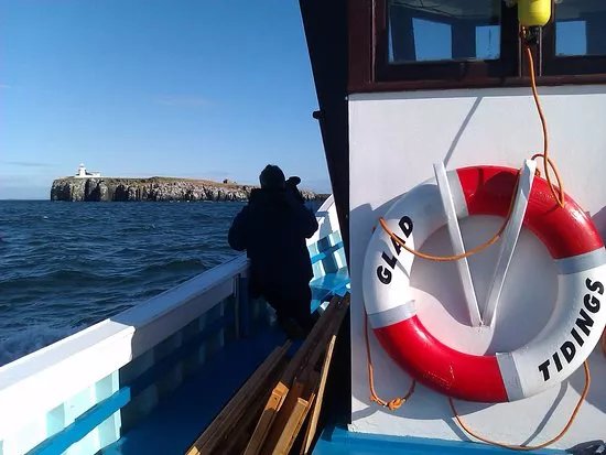 Billy Shiel's Boat Trips
