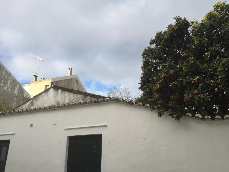 Hotel Serafim