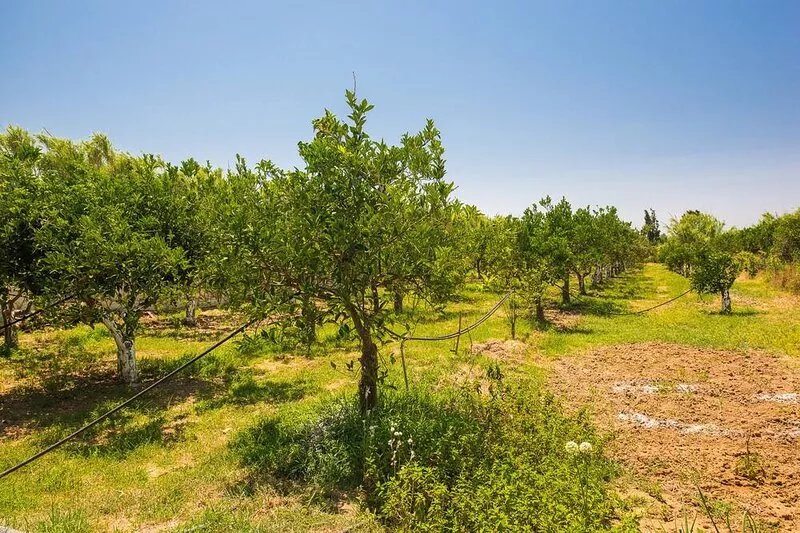 A beautiful furnished villa, located in a peaceful area only 600m from the sea