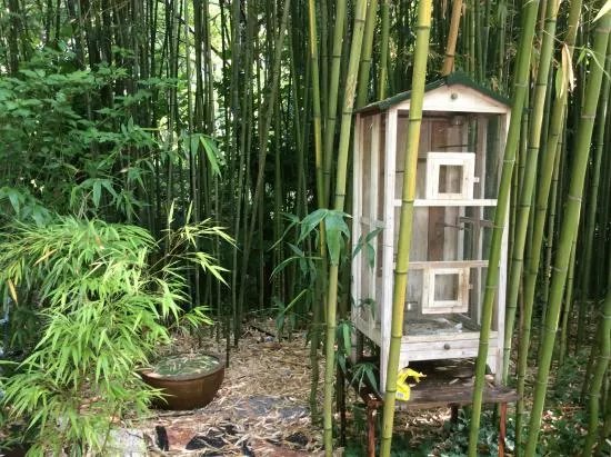 Le Jardin Les Bambous du Mandarin