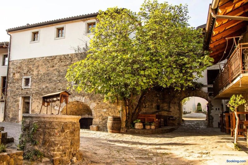 Boutique Rooms& Winery Zorz