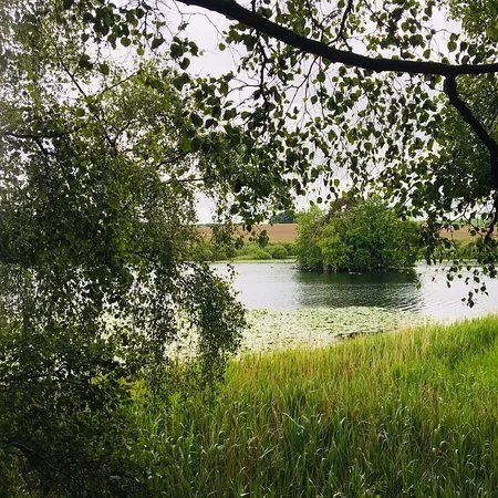 Balgavies Loch