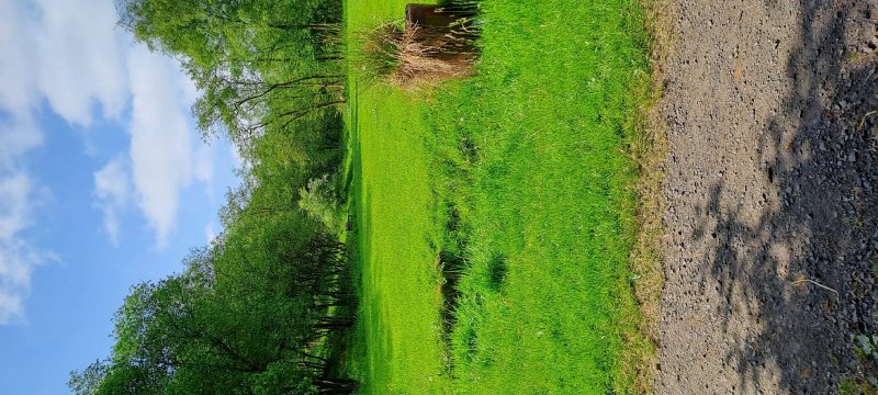 Hoddlesden Milenium Green And Woodland Walk