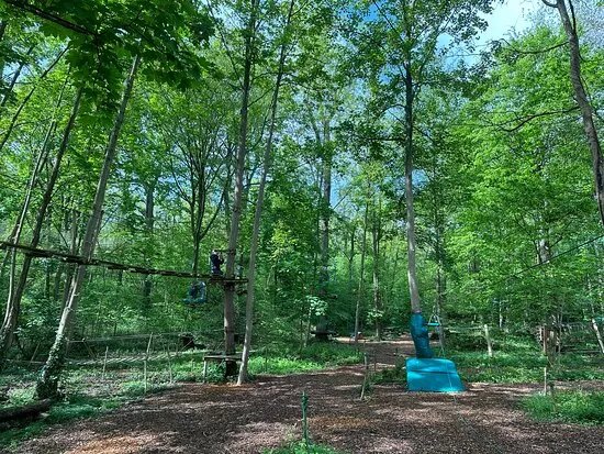 Indian Forest Yvelines