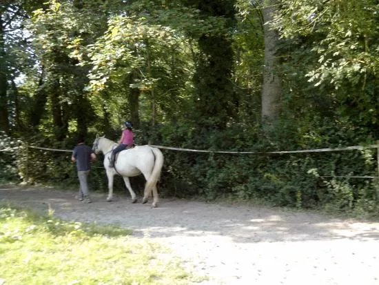 Centre Equestre du Chateau de Behen