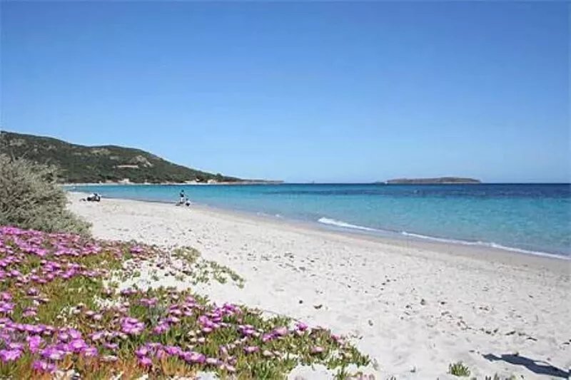 PALOMBAGGIA Air-conditioned studio in the heart of the maquis 700 meters from