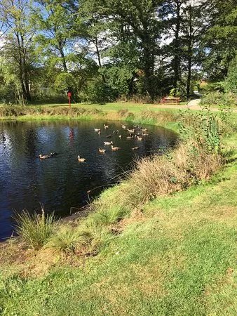 Park Sdr. Anlaeg