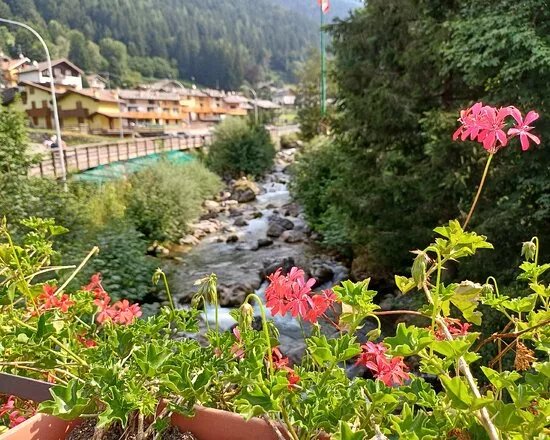 Ponte Del Consiglio
