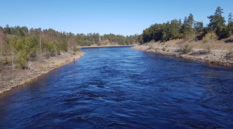 Alvkarleby Laxfiske