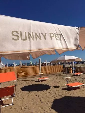 Sunny Pet Ufficio 19