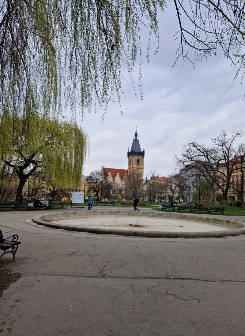 Karlovo Namesti Fountain